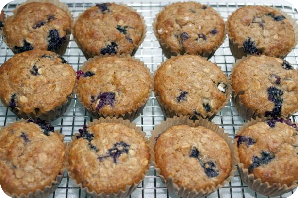 Blueberry Muffins