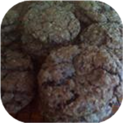 Ranger Joe Cookies