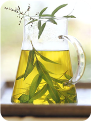 Lemon verbena tisane 