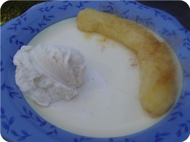 Fried Bananas  (Bananas Fritas)