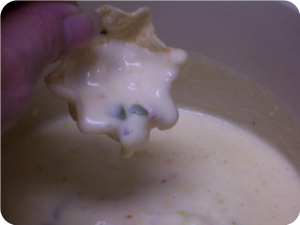Spicy Cheese Dip