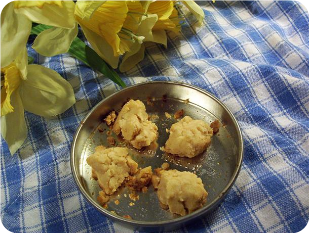 Easy Bake Oven peanut butter cookies