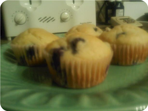 Fannie Farmer Blueberry Muffins