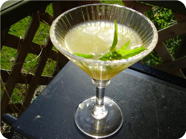 Orange Mojito