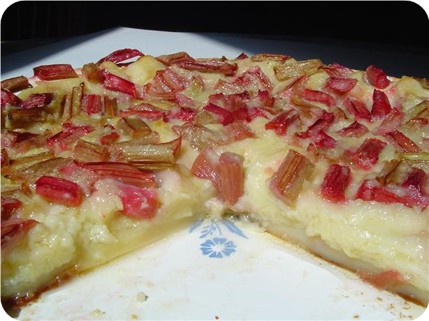 Rhubarb Custard Pie