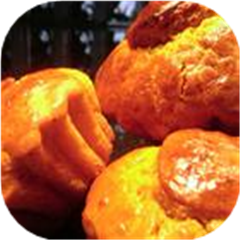 Pumpkin Brioche