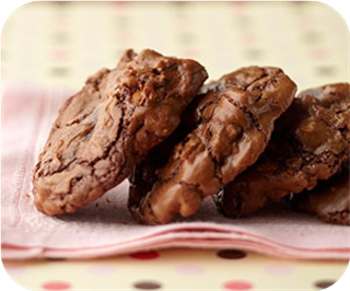 Fudge Ecstasies 