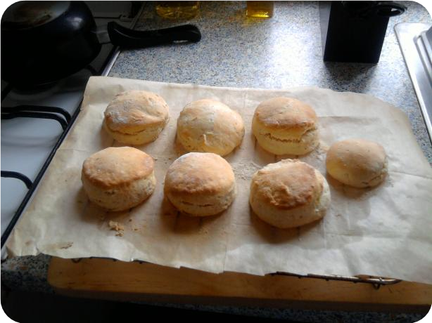 English Plain Scones