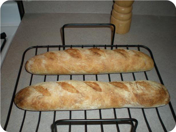 No Knead Baguette