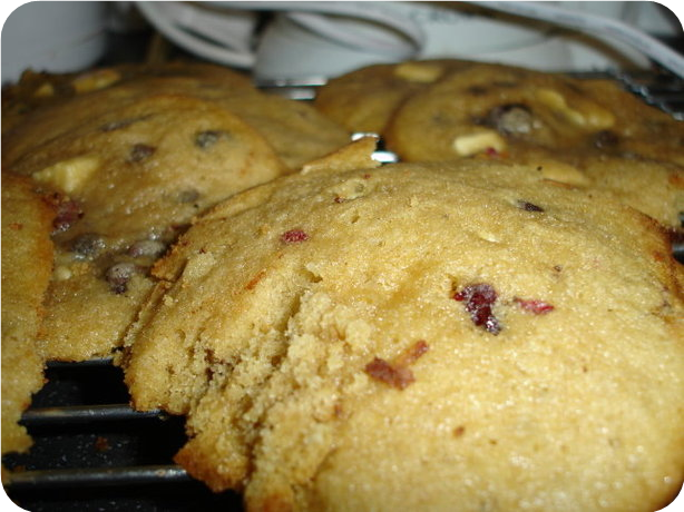 Cranberry Chocolate Chip Cookies