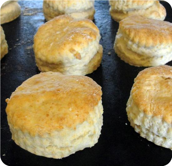 Buttermilk Biscuits