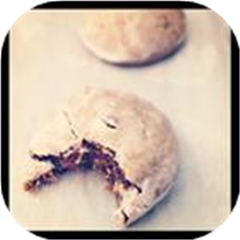German Lebkuchen