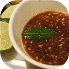 Sandy's Special Beef Marinade