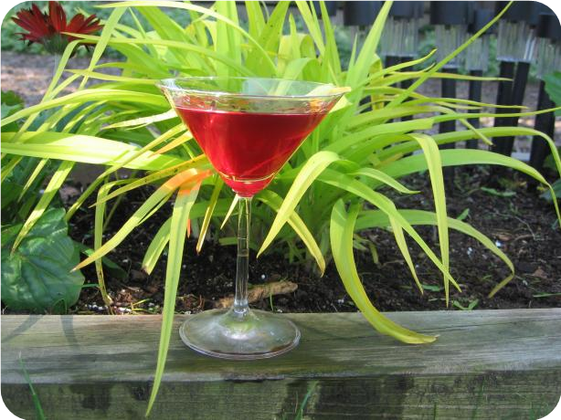 Pomegranate Martini