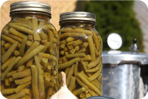 Garlic Canned Green Beans