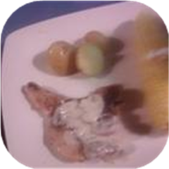 Amazing Pork Chops in Cream Sauce