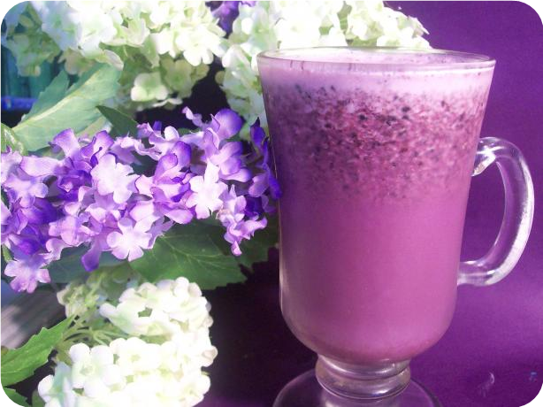 Diabetic Blueberry Fizz