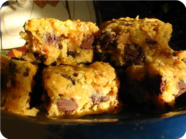 Chewy Chocolate-Coconut Bars
