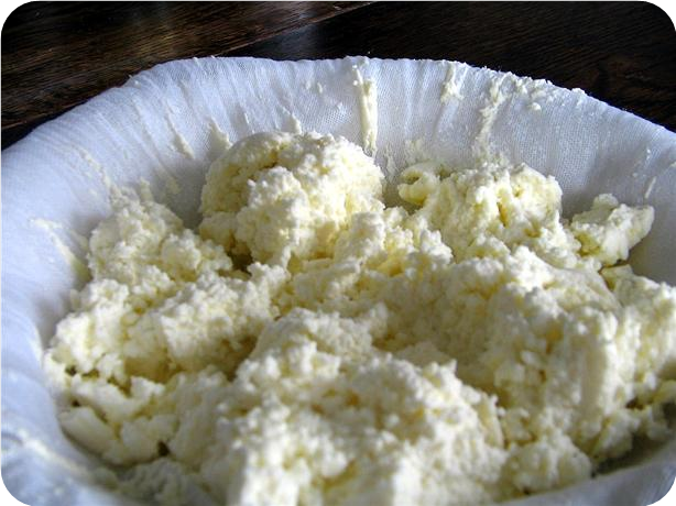 Homemade Cottage Cheese