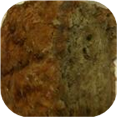 Special Banana Bread
