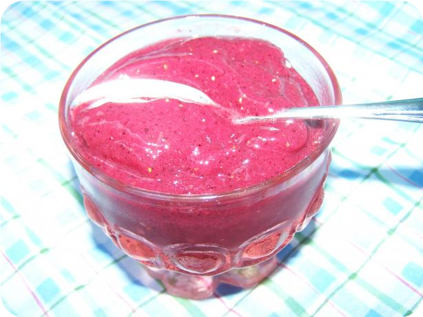Frozen Berry Sorbet