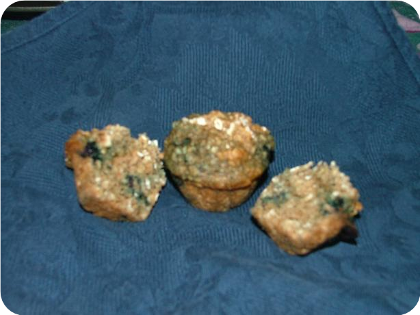 Whole Wheat Blueberry Muffins