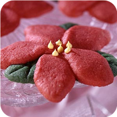 Poinsettias
