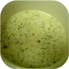 Lobster Dipping Sauce