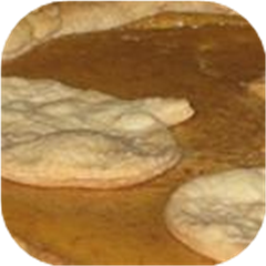 Vanilla Pumpkin Pie