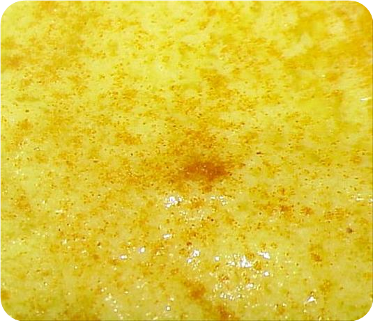 Classic Hollandaise Sauce