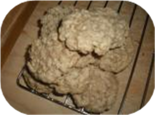 Ez Cinnamon Oatmeal Spice Cookies