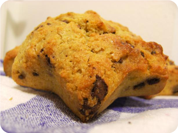 Chocolate Chip Cornbread