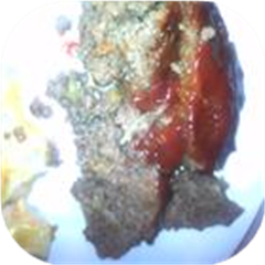 Kitchen Sink Meatloaf