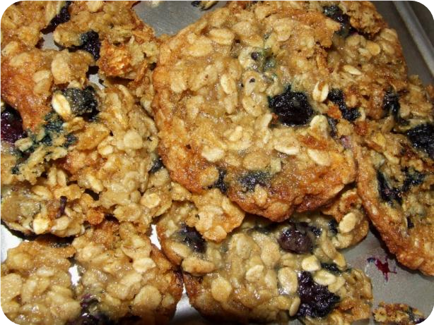 Oatmeal Blueberry Cookies