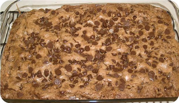 Best Zucchini Brownies Ever