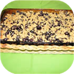Blueberry Dessert Squares