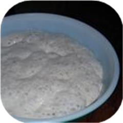 Herman Sourdough Starter
