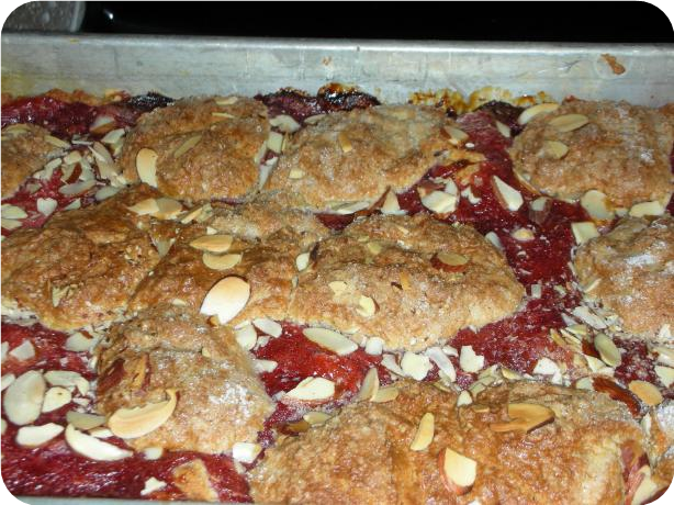 Strawberry-Rhubarb Cobbler
