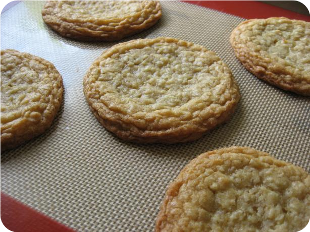 Chewy Coconut Cookies