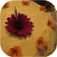 Carrot Cake VIII