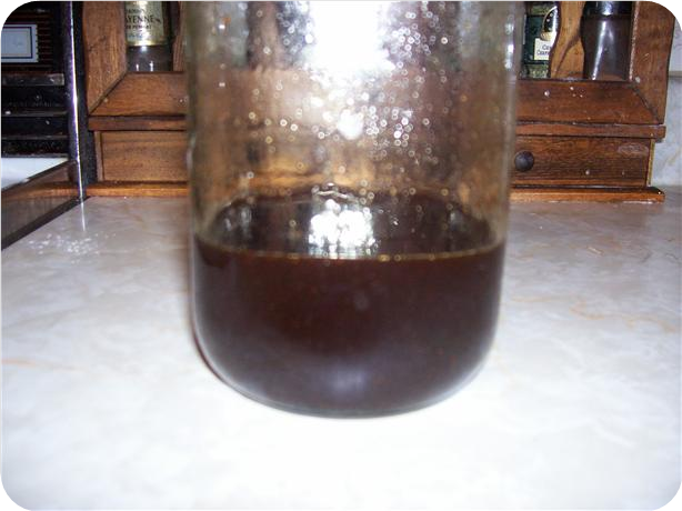Gingerbread Syrup