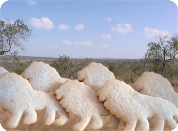 Sugar Mace Cookies