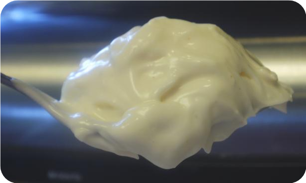 Ld's Homemade Mayonnaise