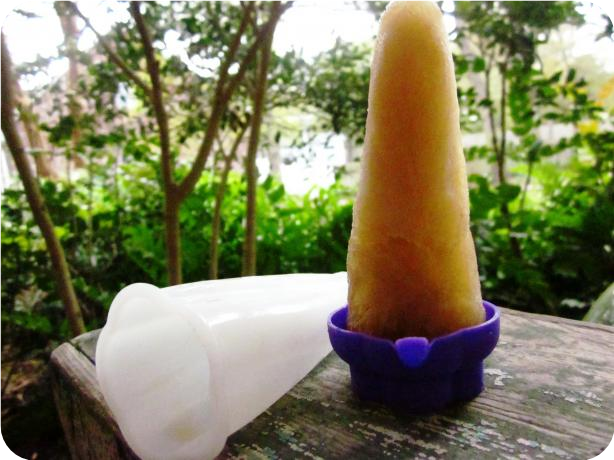 Apple Cider and Rosemary Ice Pops