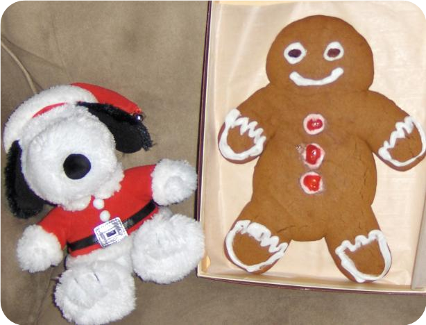 Best Gingerbread Cookies