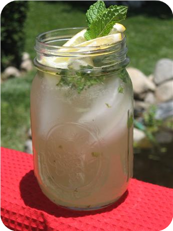 Middle Eastern Lemonade