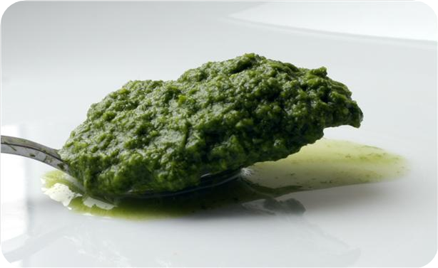 Green Chutney ( Indian Mint - Cilantro Chutney )