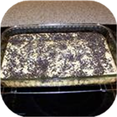 Arrowroot Bars