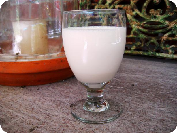 Mexican Milkshake