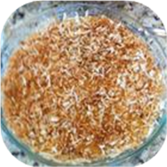Coconut Custard Pie II